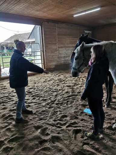 Coaching mit Pferden