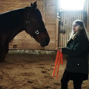 Kundenmeinung zum Coaching mit Pferd Mara I.